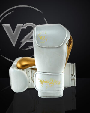 V2B FIGHTER BAG GLOVE PREMIUM QUALITY FOR TRANING